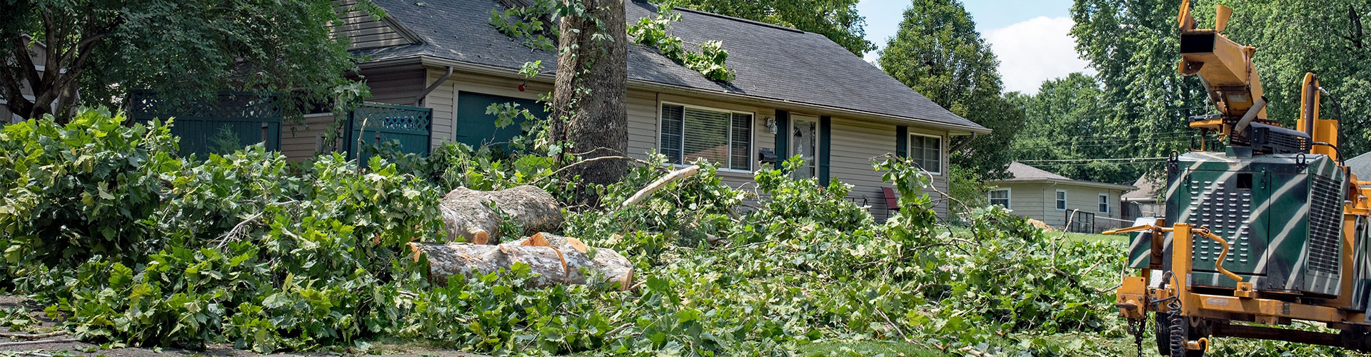 Testimonials Rawson Tree Services