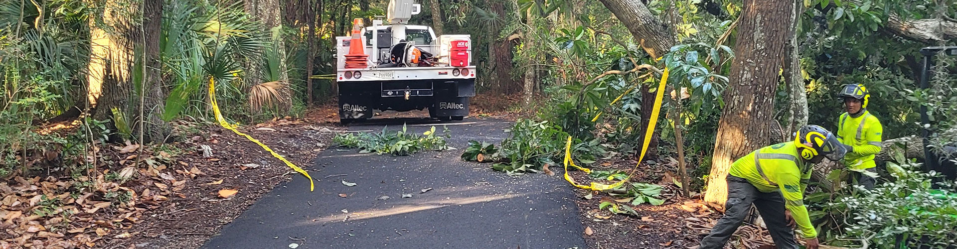 Contact Rawson Tree Services