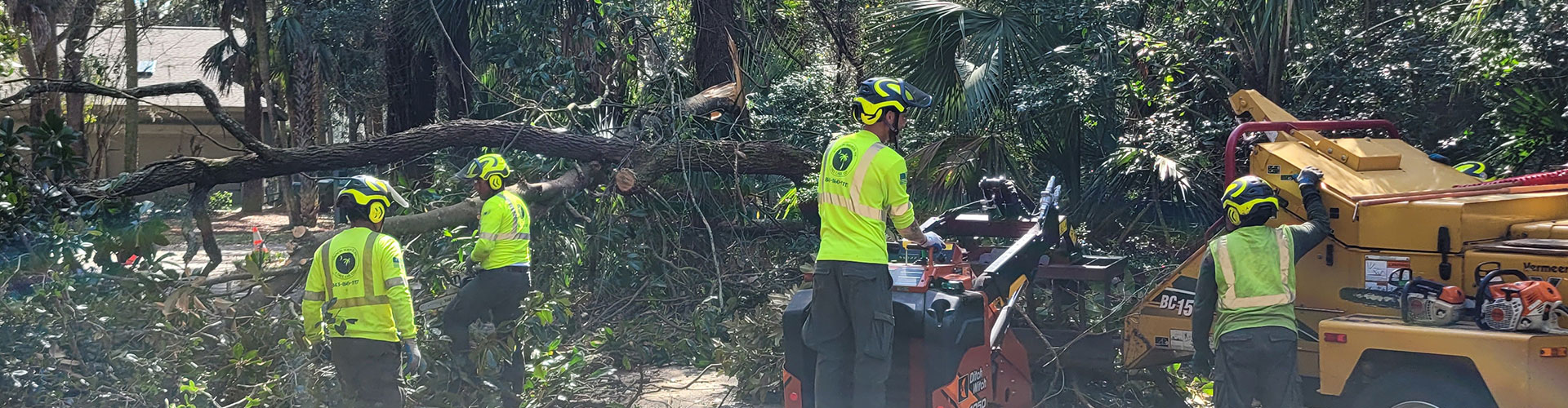 Company Why Rawson Services? Rawson Tree Services