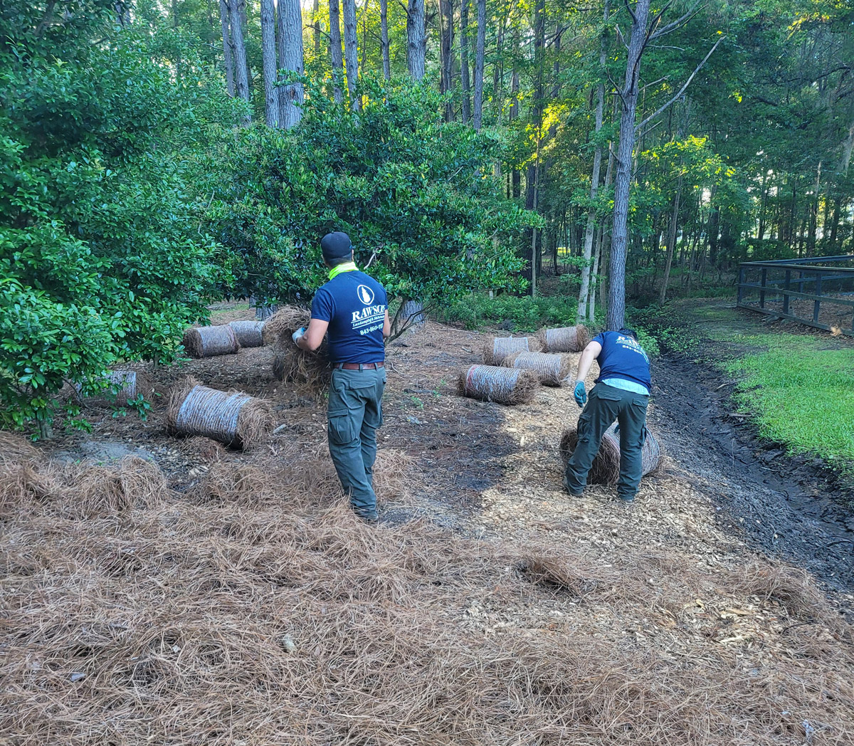 Landscaping Rawson Tree Services